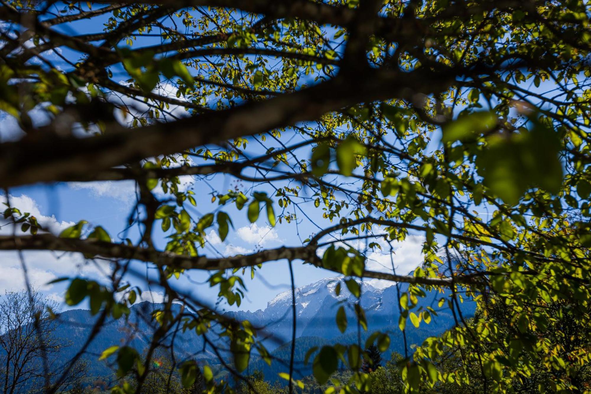 Waldklause * Schönau am Königssee